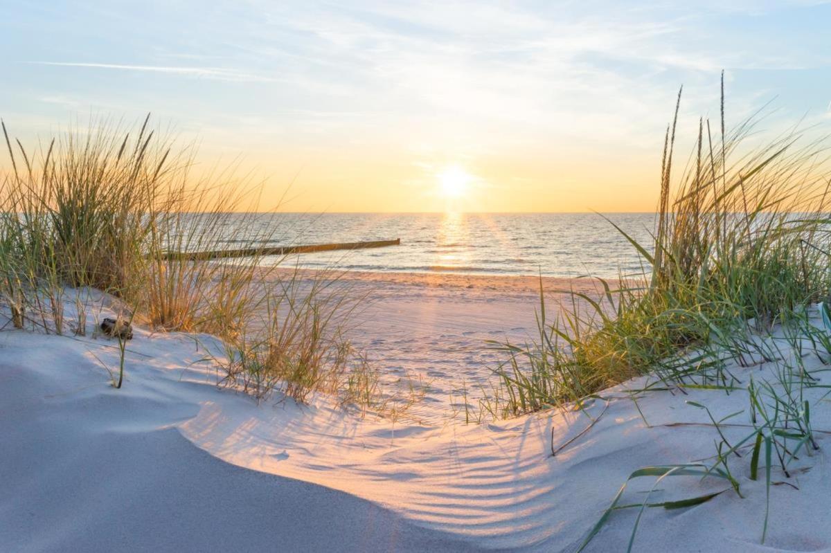 Sonnenaufgang, Direkt Am Alten Strom Rostock Ngoại thất bức ảnh
